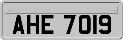 AHE7019