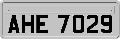 AHE7029