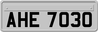 AHE7030