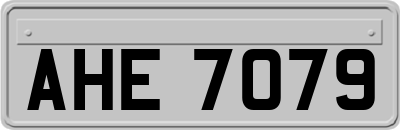 AHE7079