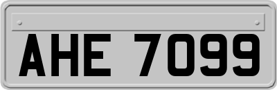 AHE7099