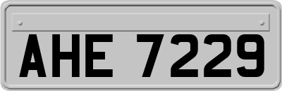 AHE7229