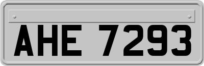 AHE7293