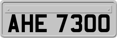 AHE7300