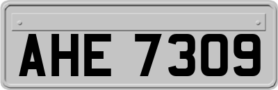 AHE7309