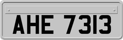 AHE7313