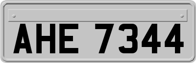 AHE7344