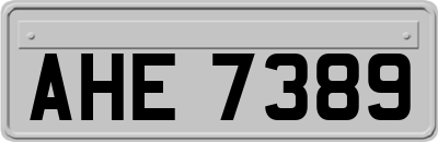 AHE7389