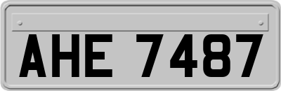 AHE7487