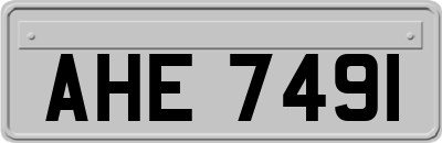 AHE7491