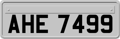 AHE7499