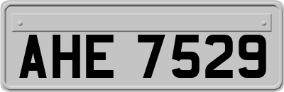 AHE7529