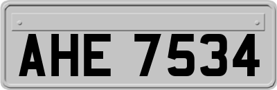 AHE7534