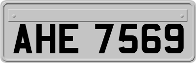 AHE7569