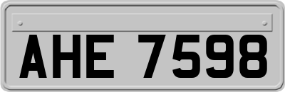 AHE7598