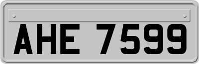 AHE7599