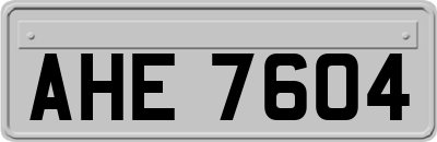 AHE7604
