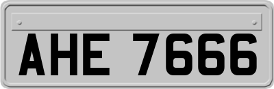 AHE7666