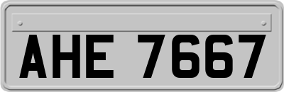 AHE7667