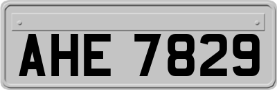 AHE7829