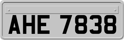AHE7838