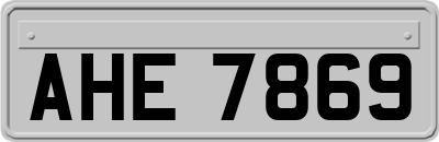 AHE7869