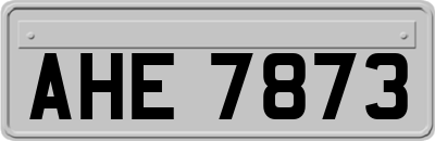 AHE7873