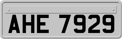 AHE7929