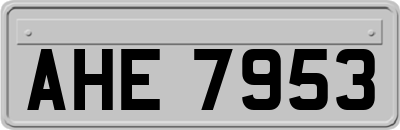 AHE7953