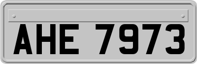 AHE7973