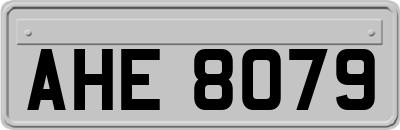 AHE8079