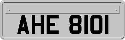 AHE8101