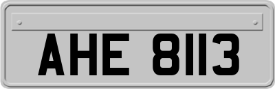 AHE8113