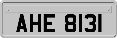 AHE8131
