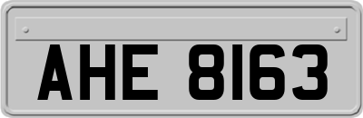 AHE8163