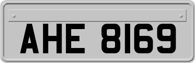 AHE8169