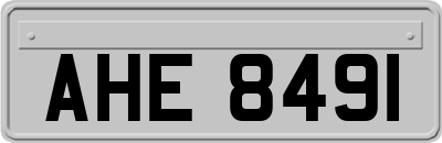 AHE8491