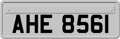 AHE8561