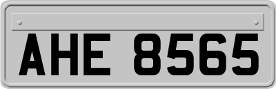 AHE8565