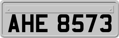 AHE8573