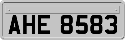 AHE8583