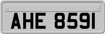 AHE8591