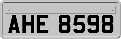 AHE8598