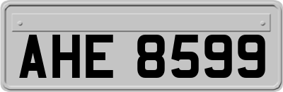 AHE8599