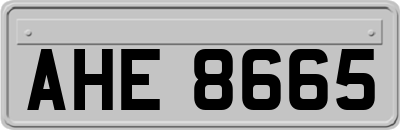 AHE8665