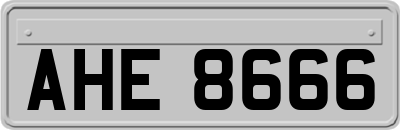 AHE8666
