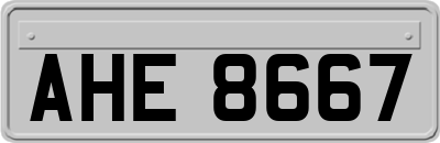 AHE8667
