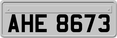 AHE8673