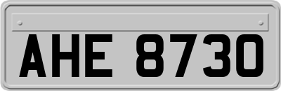 AHE8730