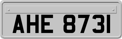 AHE8731